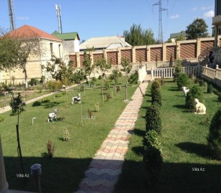 novxanida ev villa almaq 20 sotda, -3
