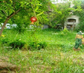 Pirşağıda bağ evi alqi satqisi, -2