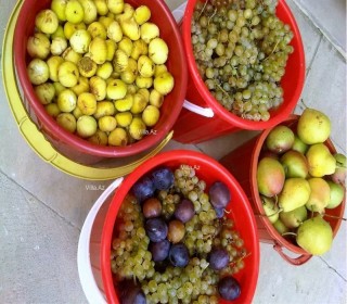 Pirşağıda bağ evi alqi satqisi, -12