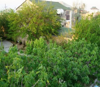 Pirşağıda bağ evi alqi satqisi, -20