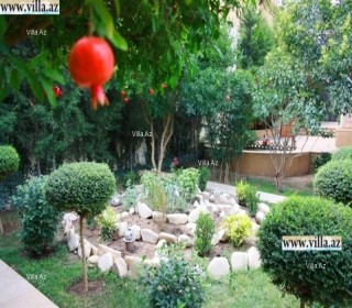 badamdarda heyet evleri elanlari sayti, -5