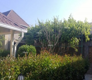 Həzi Aslanovda 7 otaqlı həyət evi / bağ evi — 350 m², -6