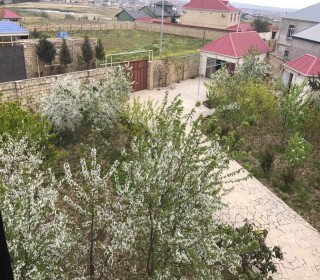 Sarayda villa badam yaxiniginda ev almaq, -13