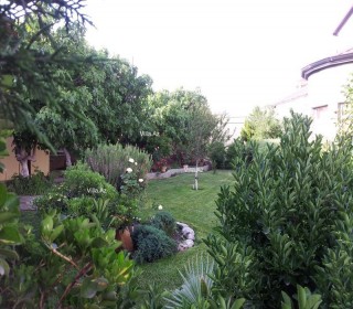 Azərbaycan qadını küçəsində Yolu keçdin Çimərlik olan bağ evi satılır, -12