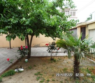 Bakida Atatürk prospektinde 3 mertebeli 7 otaqli villa satilir, -2