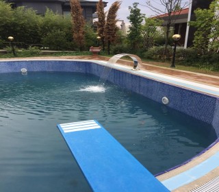 Çamlca ərazisində 20 sot ərazidə villa, -16