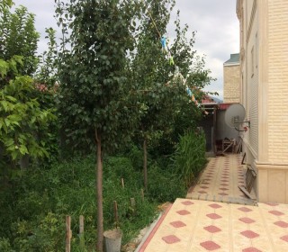 Goygol xanlarda ev almaq, -3