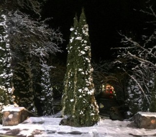 Kirayə (Günlük) Həyət evi, Quba.ş-2