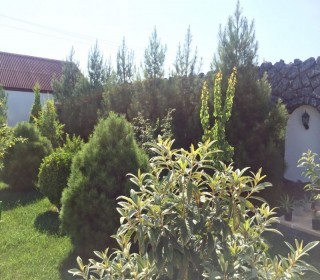 merdekanda heyet evlerinin satisi, -2