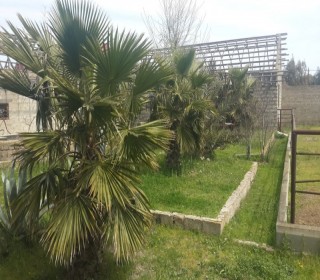 buzovnada satilan heyet evlrin qiymetleri, -7