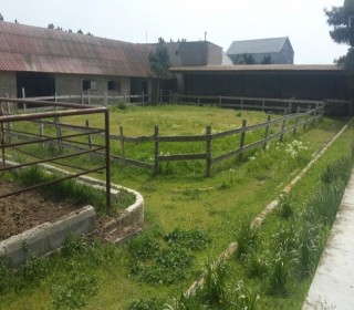 buzovnada satilan heyet evlrin qiymetleri, -19