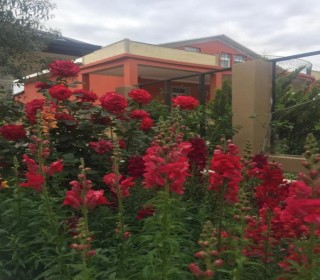 novxanıda satılan villa elanları, -13