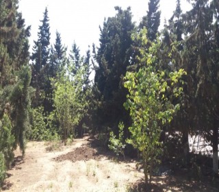 продаются коттеджи , в Баку, пос. Мардакан, -4