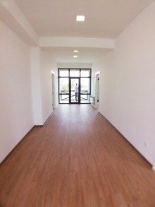 mərdəkan baglarin satisi, -19