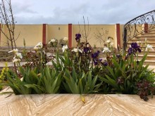 A villa for sale near Sebrez, near the sea in Nardaran, -5