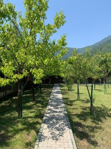 Satılır Villa, Qəbələ.ş-20