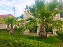 вилла , в Баку, пос. Мардакан, -2