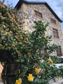 satilir-6-otaq-heyet-evi-baki-bineqedi-sulutepe-6-1606374266-s