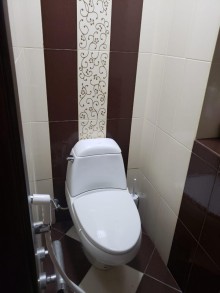 Sulutepede ev Cicek qesebesinde, -8