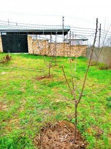 suluteede heyet evleri elanlari, -2