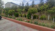 novxanida villa satilir temirli, -4
