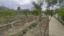 novxanida villa satilir temirli, -20