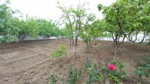 sarayda villa evlerin satisi, -14
