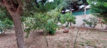 Buy 2-storey, 6-room house  in Bilgah, -9