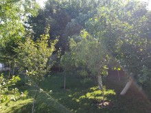 Merdekanda Teymur Quliyev bağ sahesinde villa almaq ucun telesin, -12