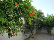 Bilgəh Albalılıq yaşayış sahəsində ev/villa almaq, -7