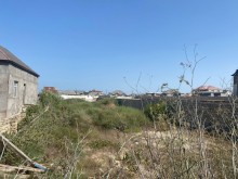 buzovna torpaq elani, -2