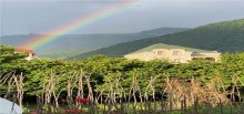 Qaxda heyet evleri Villa bağların satışı, -2