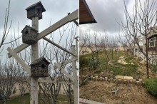 Masazır Villa Badam yaxınlığında evlər satılır, -2