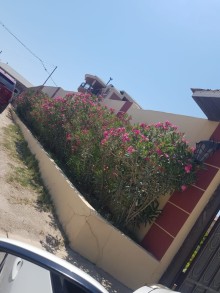 Sale Cottage, -7