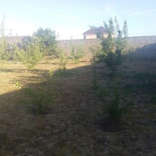 Sale Land, -2