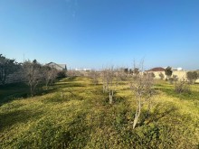 Sale Land suvelan, -3