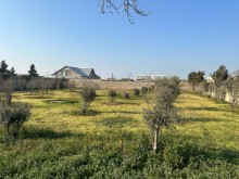 Sale Land suvelan, -8