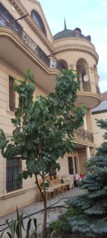 satilir-7-otaq-heyet-evi-baki-xetai-haslanov-3-1679490666-s