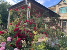 Masazırda Göl panoramalı hovuzlu villa satılır, -2