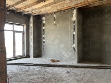 Mastaga suptropik baglar savxozunda bag evi, -10