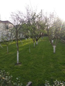 Novxani bag evi hovuzlu, -20