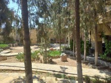 Merdekanda şam ağacları ilə dolu 2 mertebeli bag evi, -8