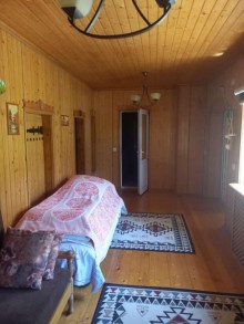 Merdekanda şam ağacları ilə dolu 2 mertebeli bag evi, -12