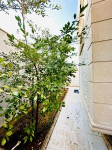 merdekanda heyet evleri | villa baglar, -6