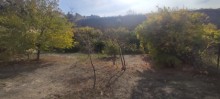 Novxanı dəniz yolunda heyet evi satilir, -5