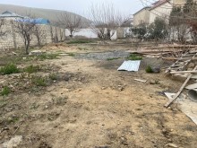 novxani baglarinda torpaq almaq, -2