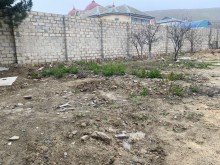 novxani baglarinda torpaq almaq, -4