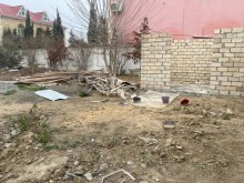 novxani baglarinda torpaq almaq, -5