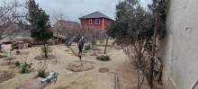 Novxani baglarinda heyet evi satilir, -4