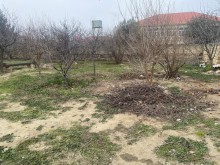 satilir-torpaq-baki-abseron-novxani-149-1707297520-s